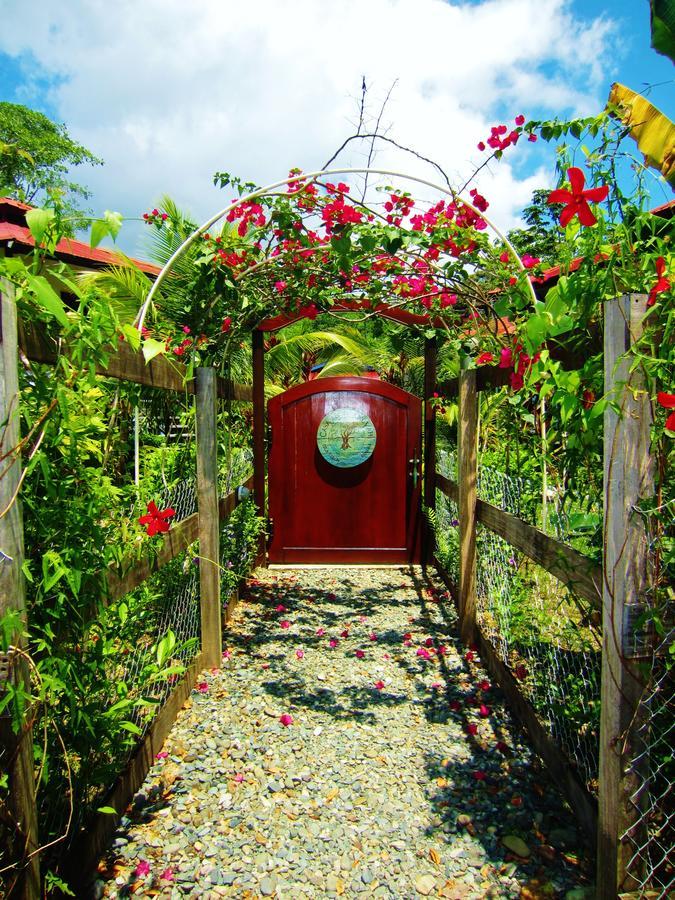 Casa Abundancyah B&B Μπόκας ντελ Τόρο Εξωτερικό φωτογραφία